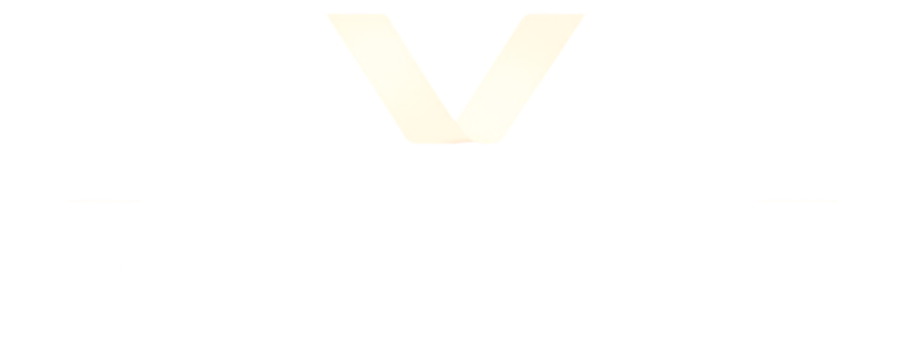 FS Vision